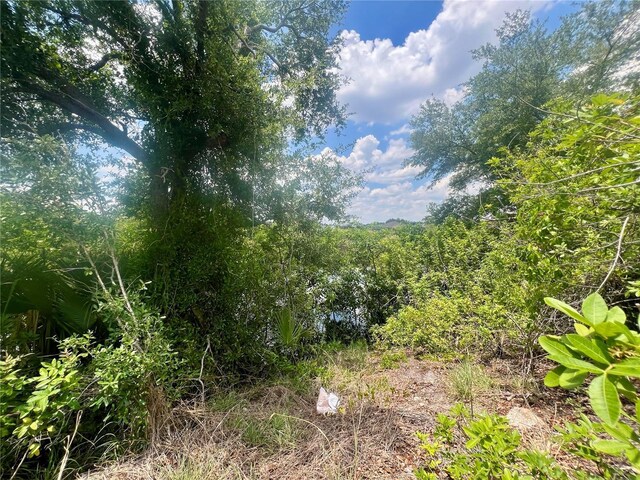 1623 NW 26th St, Cape Coral, FL 33993 - photo 2