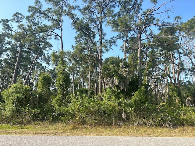 18157 Wakashan Ave, Port Charlotte FL, 33948 land for sale