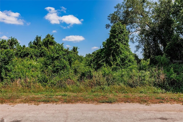 2865 SE Creekwood Ter, Arcadia FL, 34266 land for sale