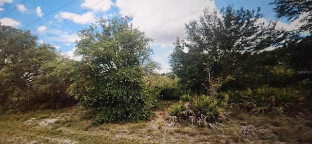 2502 70th St W, Lehigh Acres FL, 33971 land for sale