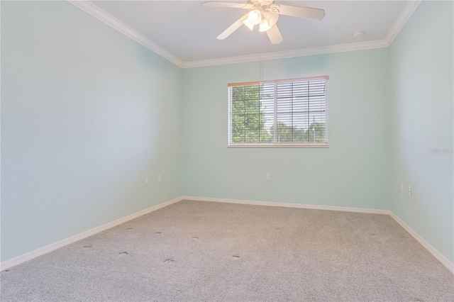 empty room featuring carpet, ornamental molding, and ceiling fan