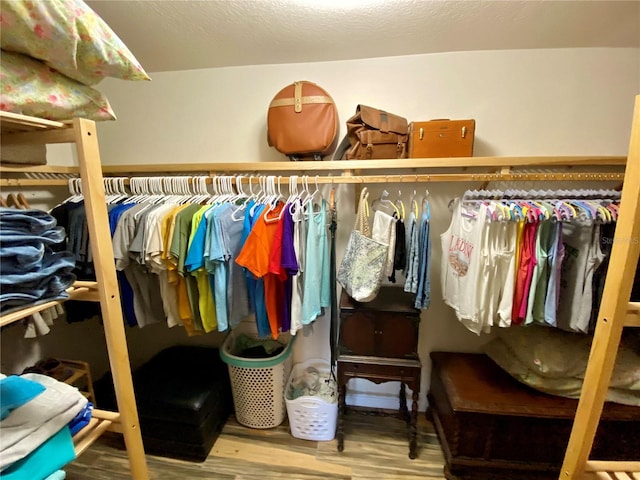 spacious closet with hardwood / wood-style floors