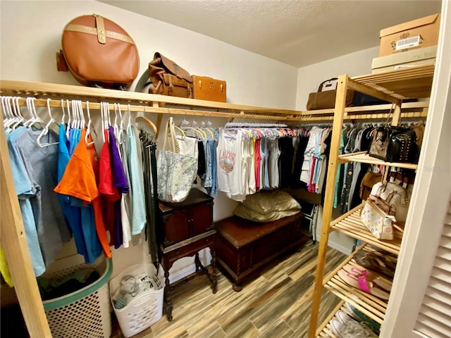 walk in closet with wood-type flooring