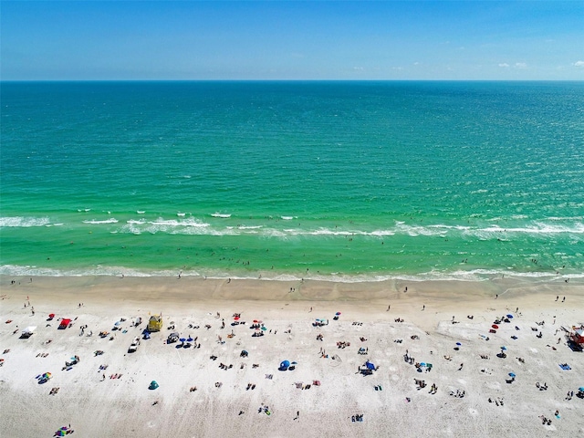 water view featuring a beach view