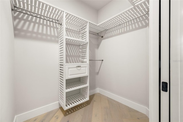 walk in closet with light hardwood / wood-style flooring