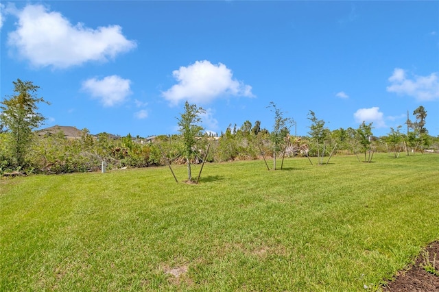 view of yard featuring a rural view