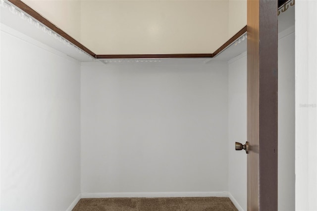 spacious closet with carpet flooring