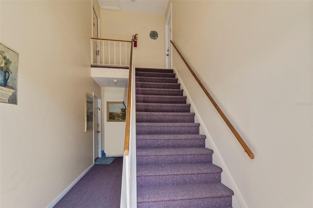 stairs featuring carpet floors