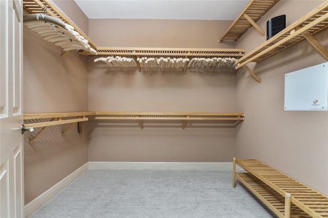 spacious closet featuring carpet floors