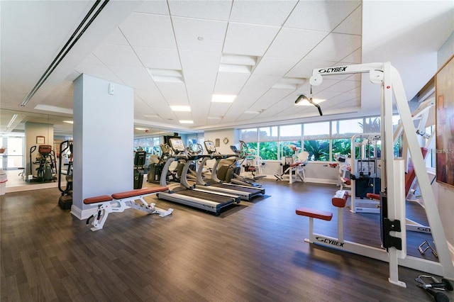 exercise room featuring dark hardwood / wood-style flooring and a drop ceiling