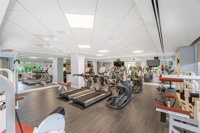 workout area featuring a paneled ceiling and hardwood / wood-style floors