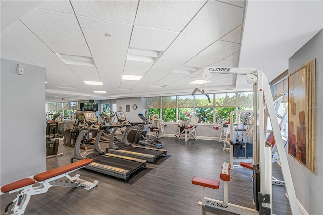 workout area with hardwood / wood-style flooring and a paneled ceiling