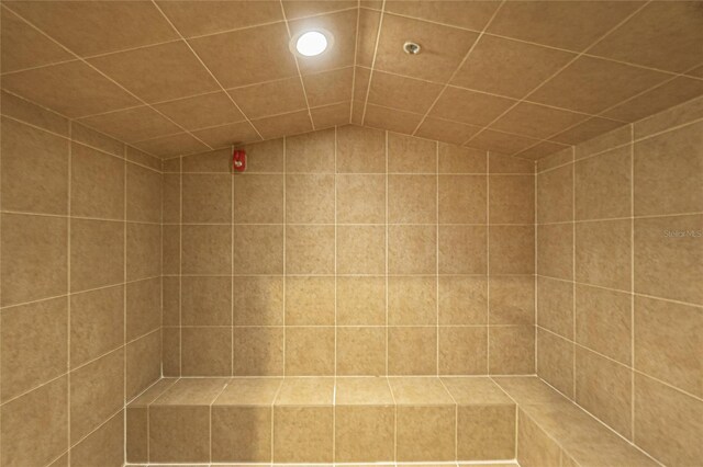 bathroom featuring vaulted ceiling