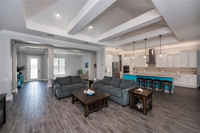 living room featuring ornamental molding, sink, dark hardwood / wood-style floors, and a raised ceiling