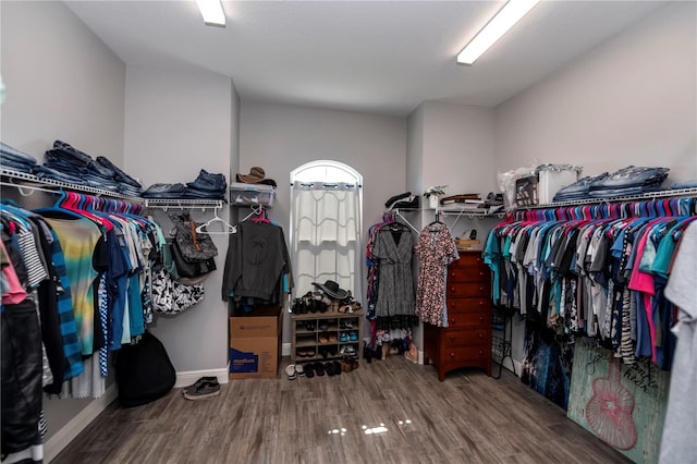 walk in closet with wood-type flooring