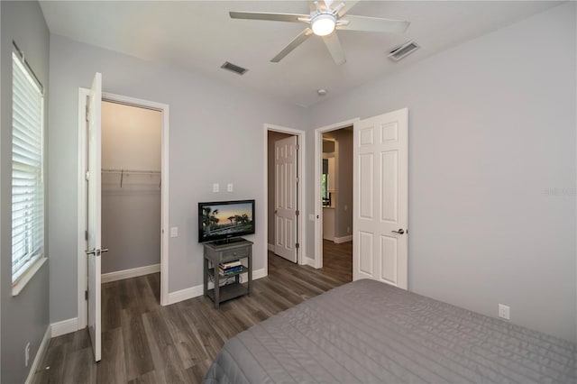 bedroom with dark wood-type flooring, a closet, a spacious closet, and ceiling fan