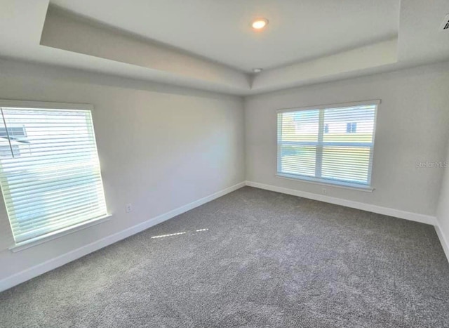 spare room featuring a raised ceiling and carpet flooring