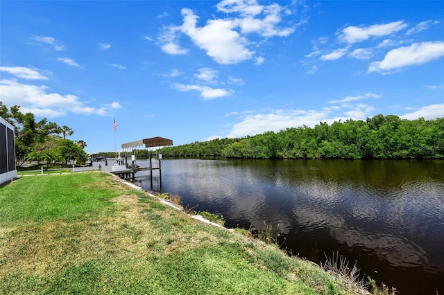 water view with a dock