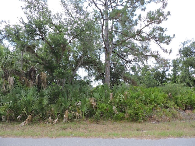 1504 Capel St, Port Charlotte FL, 33953 land for sale