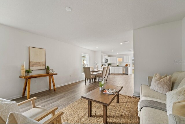 living room featuring hardwood / wood-style floors