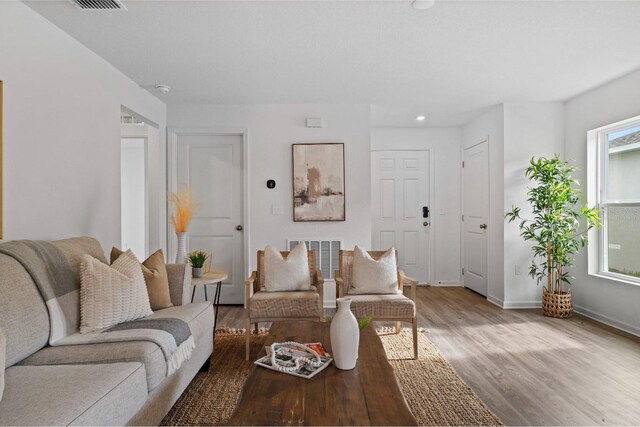 living room with light hardwood / wood-style floors and plenty of natural light