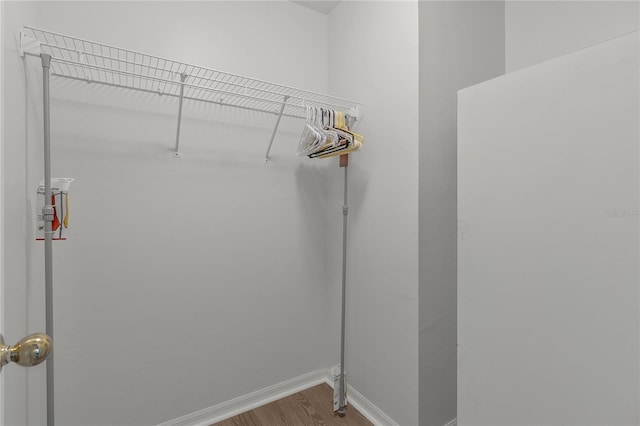 walk in closet with hardwood / wood-style floors