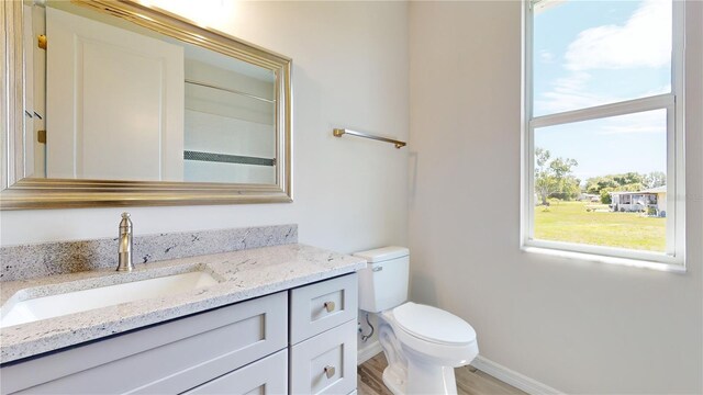 bathroom with vanity, toilet, and wood-type flooring