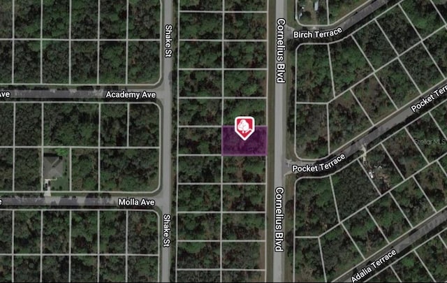 1323 Cornelius Blvd, Port Charlotte FL, 33953 land for sale