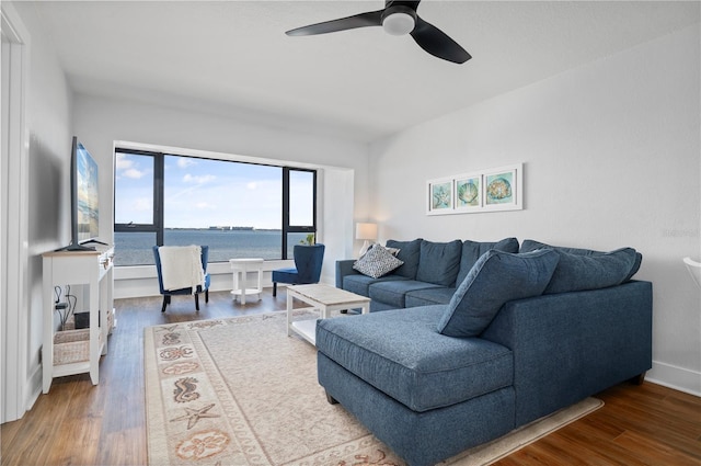 living room with ceiling fan and wood-type flooring