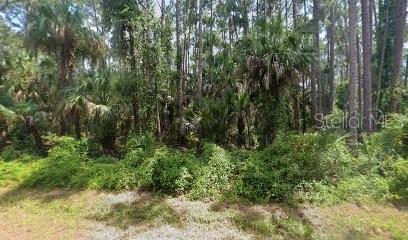 17391 Metcalf Ave, Port Charlotte FL, 33954 land for sale