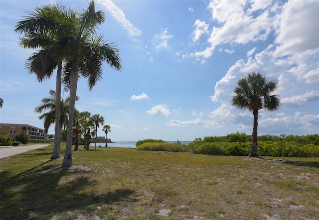 view of yard with a water view