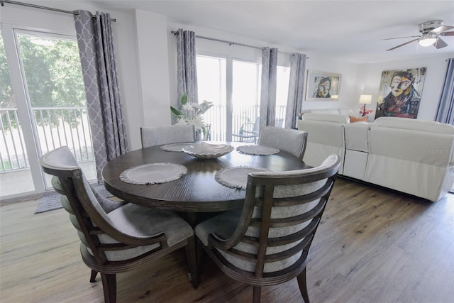 dining room featuring wood-type flooring and ceiling fan