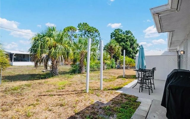 view of yard featuring a patio area