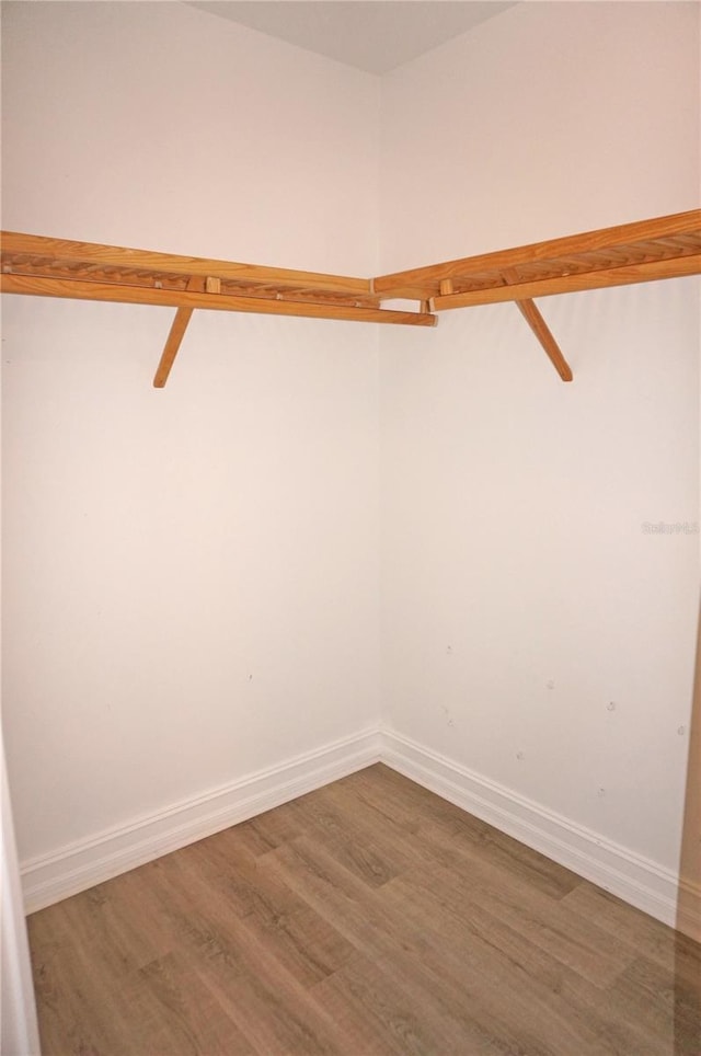 spacious closet with hardwood / wood-style floors