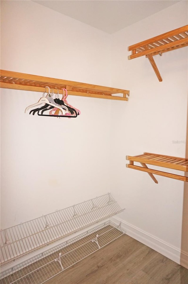 walk in closet featuring hardwood / wood-style flooring