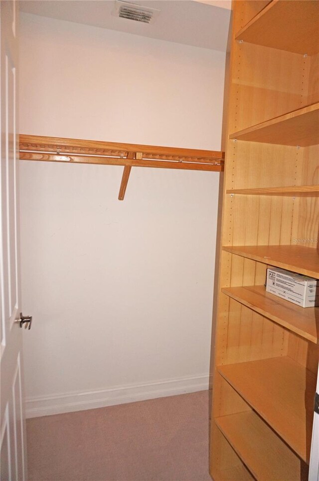 walk in closet with carpet