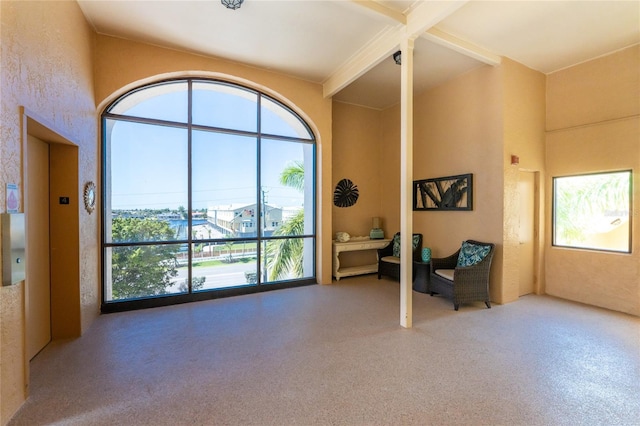 living area with elevator and a towering ceiling