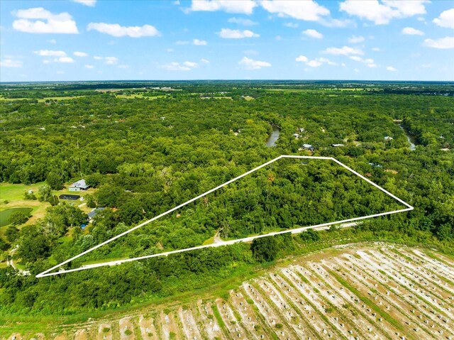 birds eye view of property featuring a forest view