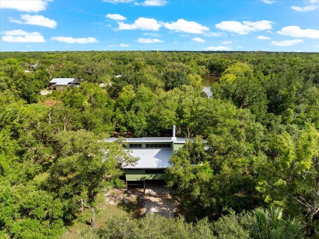 drone / aerial view with a water view and a view of trees