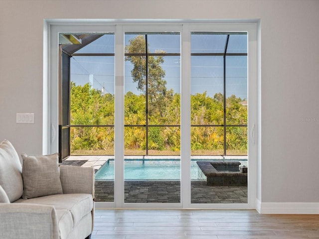 entryway featuring plenty of natural light and wood-type flooring