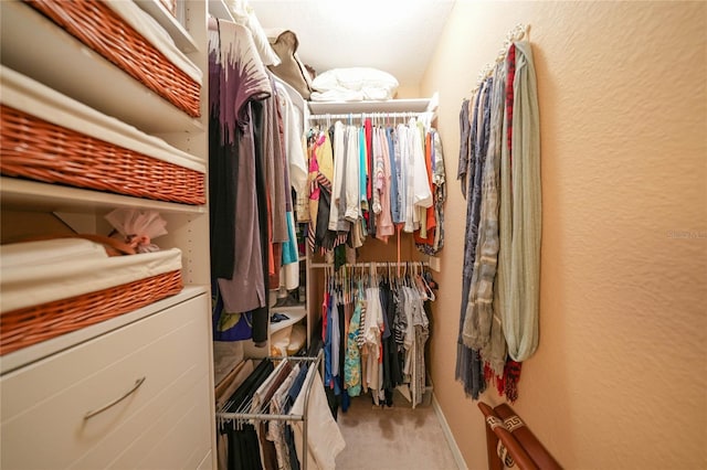 spacious closet featuring carpet