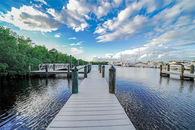 dock area featuring a water view