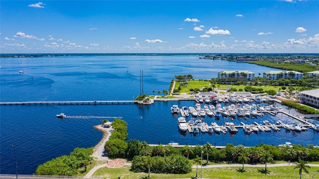 bird's eye view with a water view