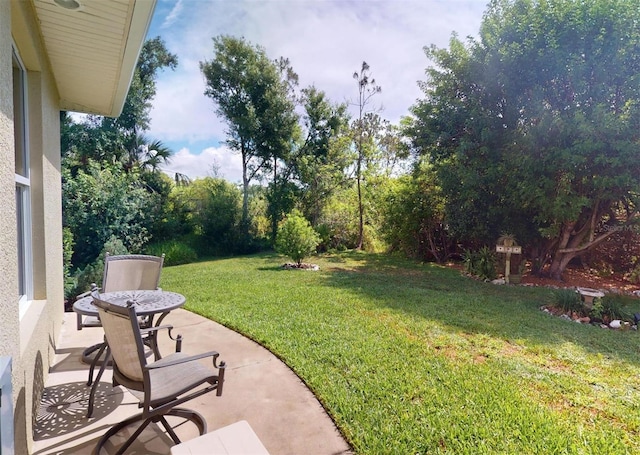 view of yard featuring a patio