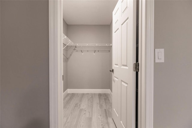 spacious closet featuring light hardwood / wood-style flooring