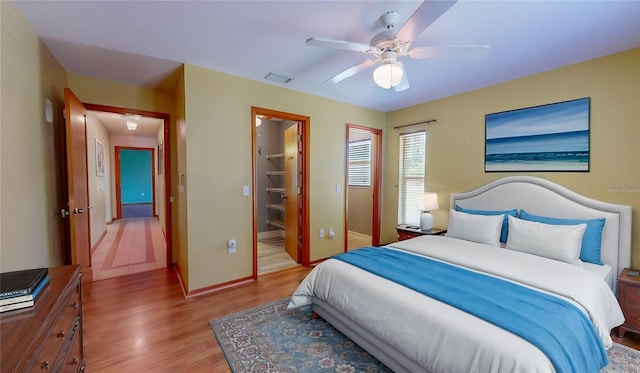 bedroom with a spacious closet, a closet, ceiling fan, and light hardwood / wood-style flooring