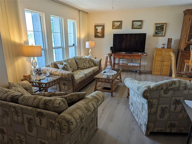 living room with hardwood / wood-style floors