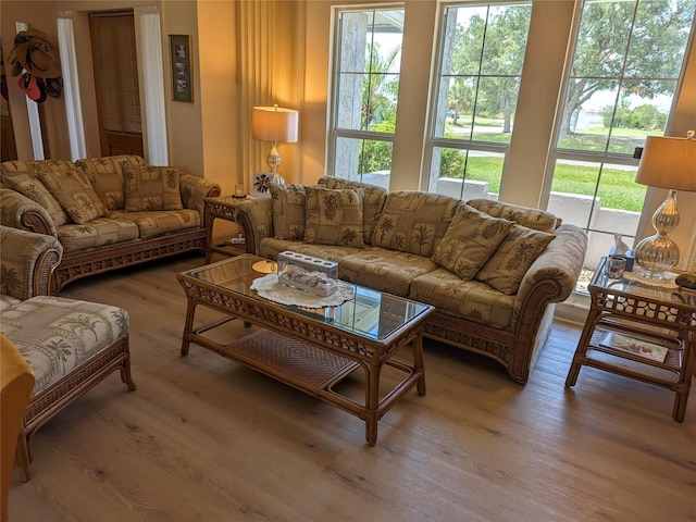 living room with a healthy amount of sunlight and hardwood / wood-style flooring