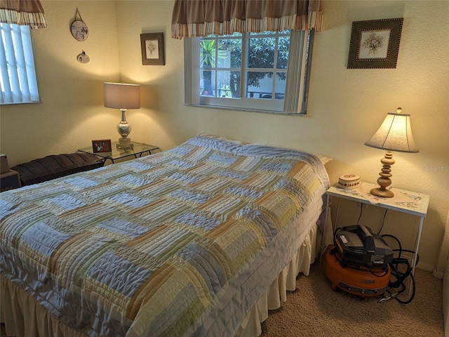 bedroom with carpet flooring