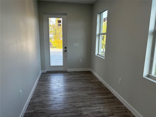 doorway with plenty of natural light and dark wood-type flooring